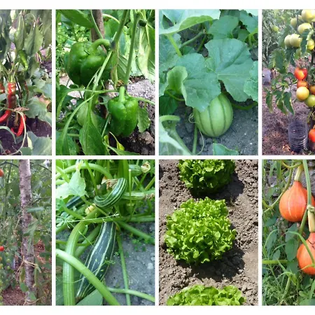 فندق مبيت وإفطار A L'ombre Du Tilleul