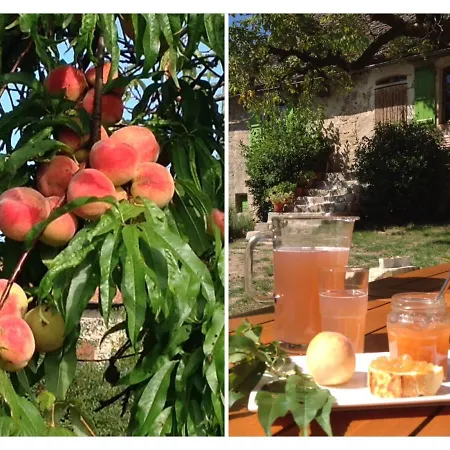 A L'ombre Du Tilleul Bed & Breakfast