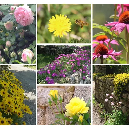 فندق مبيت وإفطار A L'ombre Du Tilleul