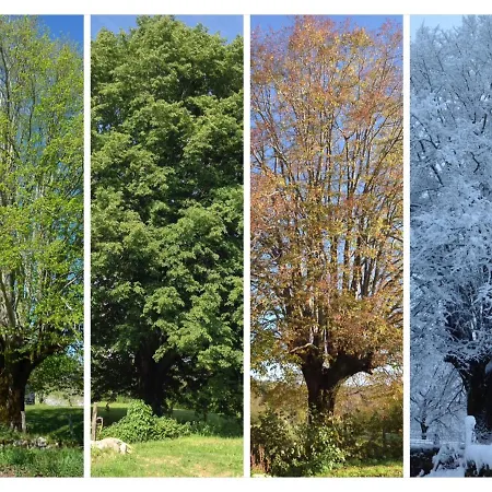 A L'ombre Du Tilleul فندق مبيت وإفطار Comiac