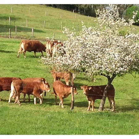 A L'ombre Du Tilleul فندق مبيت وإفطار Comiac