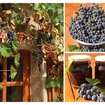 Bed and breakfast A L'ombre Du Tilleul 3*