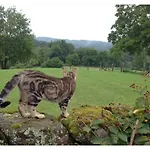 A L'ombre Du Tilleul 3* Comiac