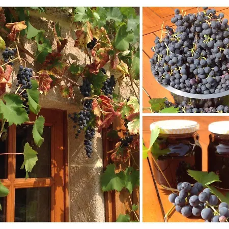 Bed & Breakfast A L'ombre Du Tilleul *