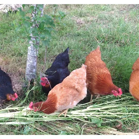 Bed & Breakfast A L'ombre Du Tilleul