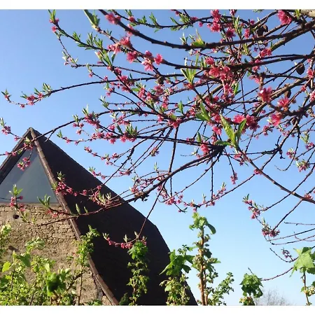 A L'ombre Du Tilleul