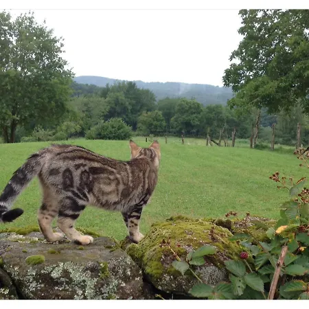 A L'ombre Du Tilleul 3* Comiac