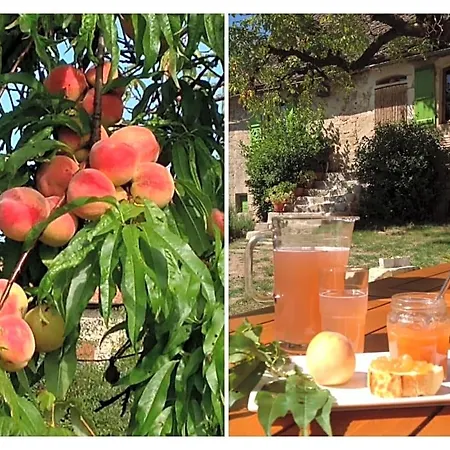 A L'ombre Du Tilleul فندق مبيت وإفطار 3*