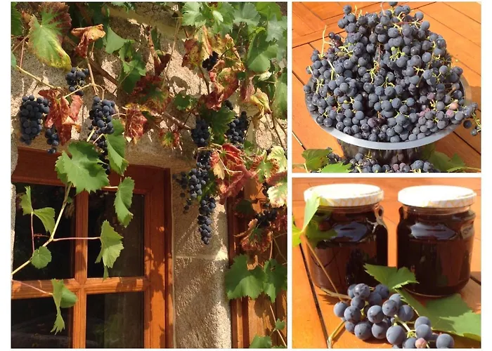 Bed and Breakfast A L'ombre Du Tilleul 3*