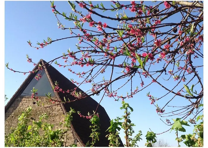 A L'ombre Du Tilleul