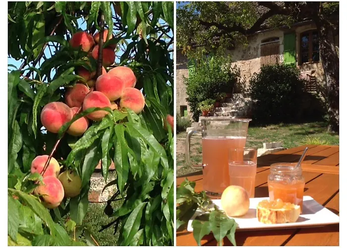 A L'ombre Du Tilleul Bed and Breakfast